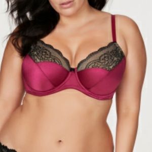 Fredericks of Hollywood bra